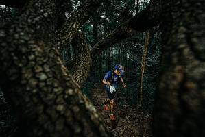 BIB: 
                            <button type="button" onclick="openModal(25678222)" class="btn btn-primary btn-sm float-right btn-popup" data-toggle="modal" data-target=".modal-high-quality">
                        <i class="fas fa-shopping-cart"></i> Add to Cart
                    </button>
                                            <button type="button" onclick="isThisMe(25678222, true)" class="btn btn-success btn-sm float-right btn-popup btn-isme hidden" data-toggle="tooltip" data-placement="bottom" title="นี่คือรูปของคุณใช่ไหม คลิกที่นี่เพื่อเอาเข้าอัลบั้ม">
                        <i class="fas fa-plus"></i> Add to album
                    </button>
                    <button type="button" onclick="isThisMe(25678222, false)" class="btn btn-warning btn-sm float-right btn-popup btn-isnotme hidden">
                        <i class="fas fa-ban"></i> Remove from album
                    </button>